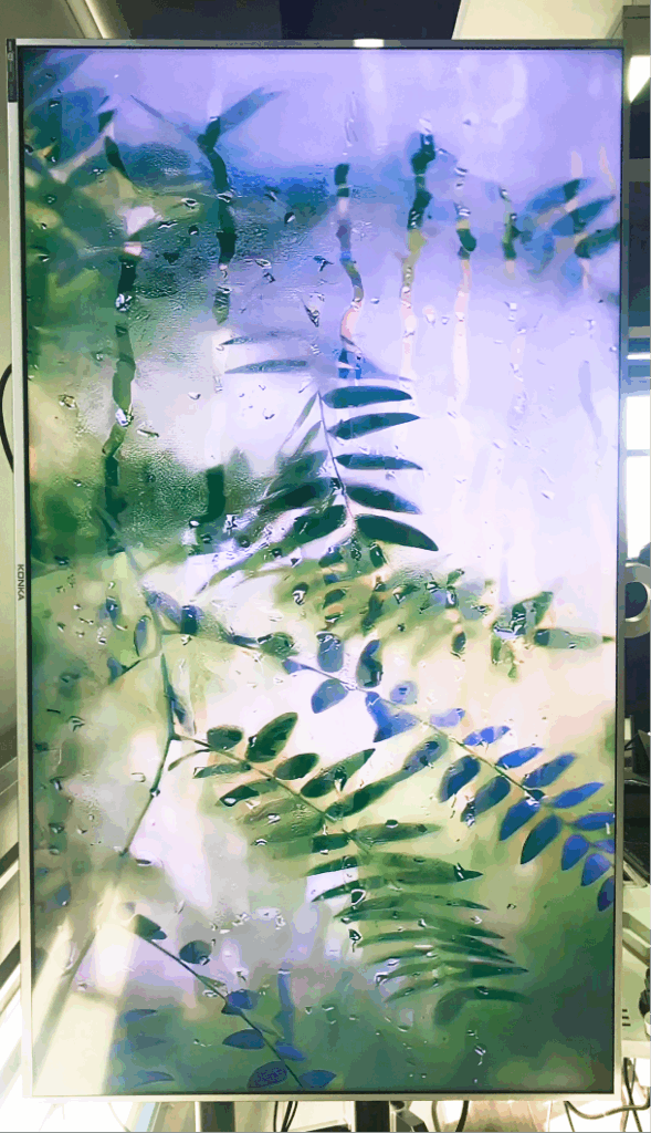 雨燕投屏竖版tv版成功投屏图片的展示图